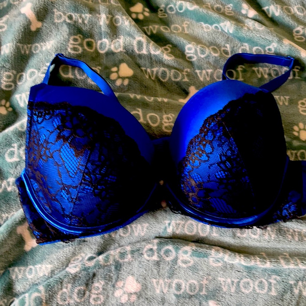 Blue cacique bra 44B